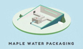 楓樹汁進(jìn)口全流程指南 從國外貨源到國內(nèi)市場(chǎng)的關(guān)鍵環(huán)節(jié)解析